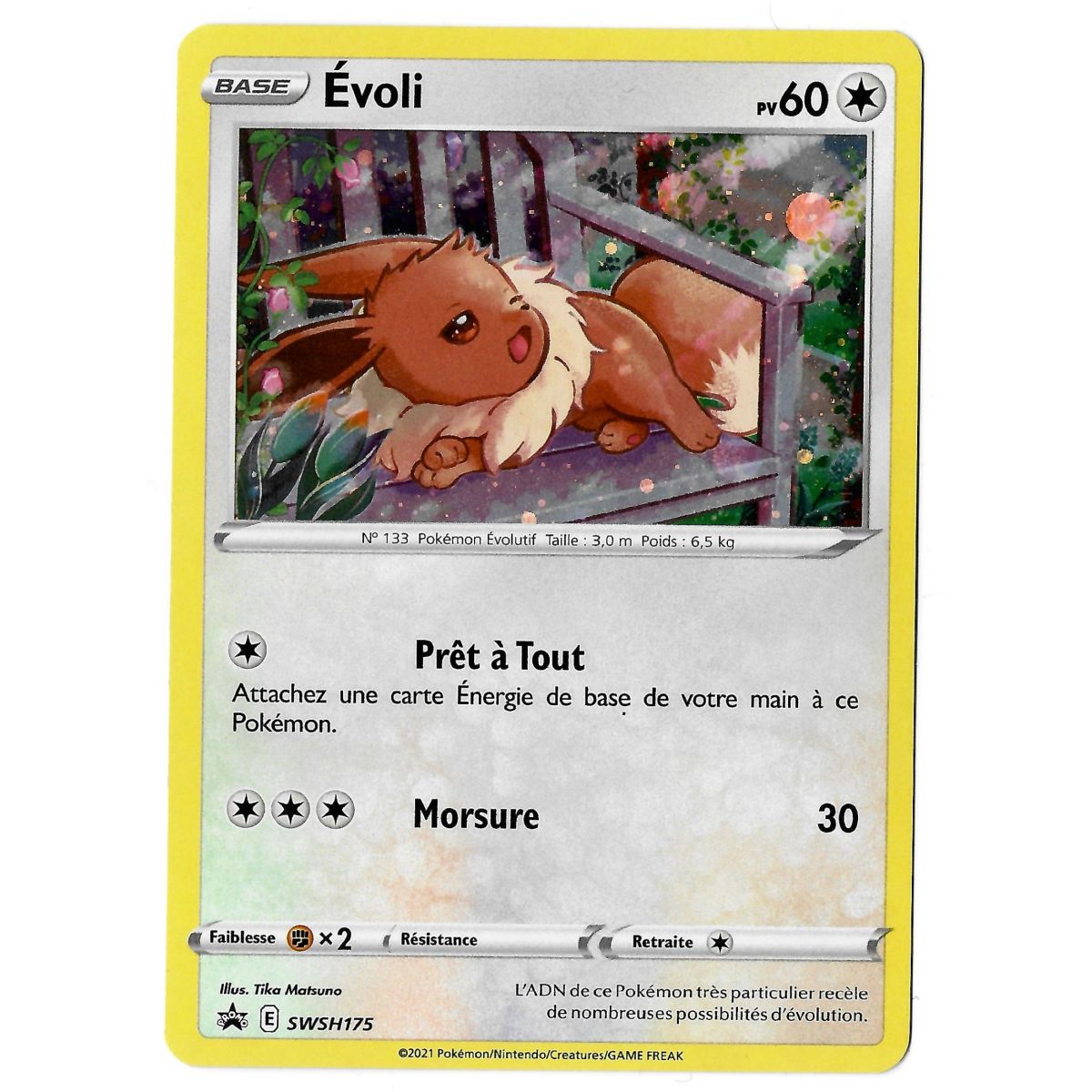 Item Evoli - Holo Rare - SWSH175