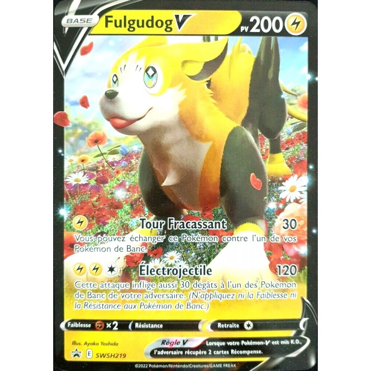 Pokémon JCC Coffret Fulgudog-V Boosters *Français*