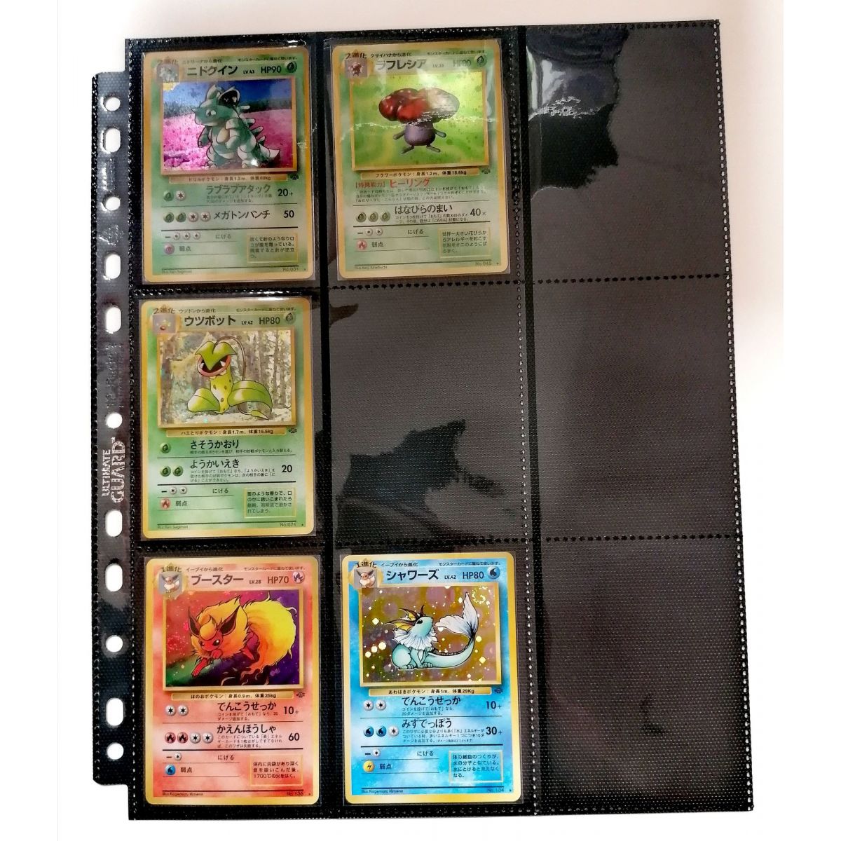 Item Pokémon - Collection Incomplète - Jungle Holo - 11/16 - Japonais