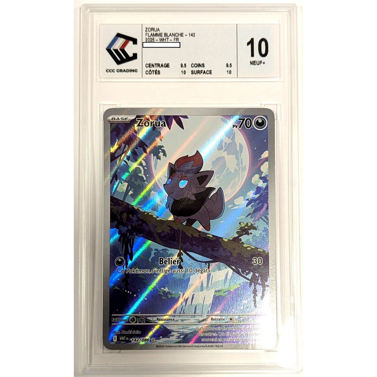 [CCC 10 - Neuf+] - Carte Gradée - Zorua 142/086 - Ecarlate & Violet : Flamme Blanche - 2025 - Pokémon - Français