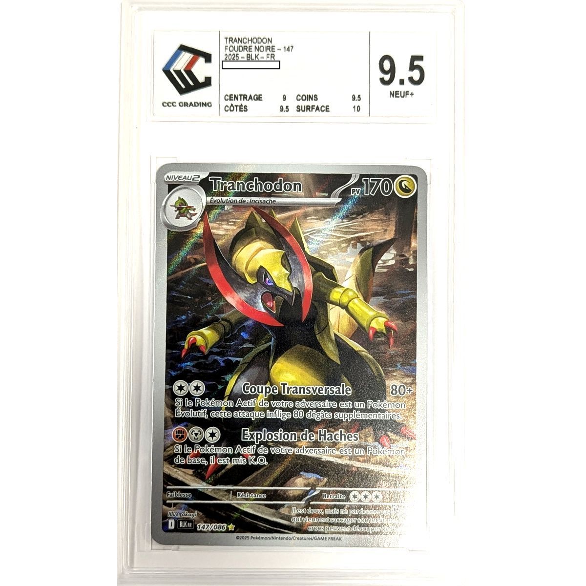 [CCC 9.5 - Neuf+] - Carte Gradée - Tranchodon 147/086 - Ecarlate & Violet : Foudre Noire - 2025 - Pokémon - Français
