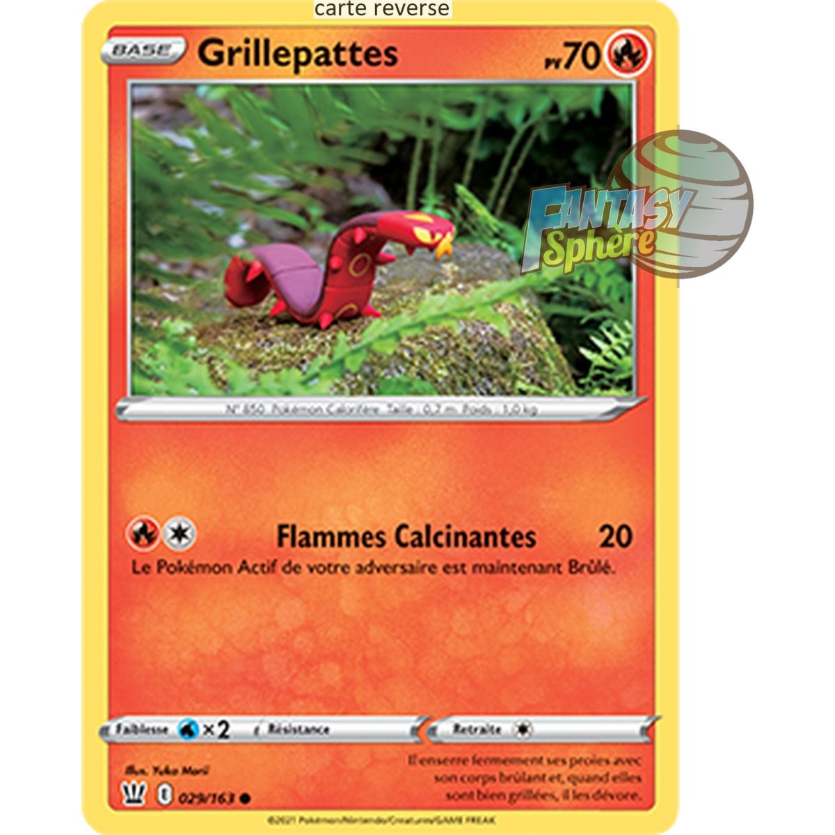 Grillepattes - Reverse 29/163 - Epee et Bouclier 5 Style de Combat