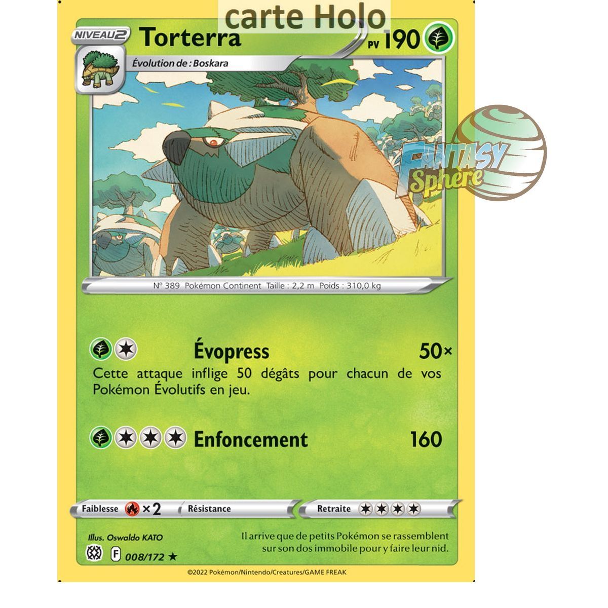 Torterra - Holo Rare 8/172 - Epee et Bouclier 9 Stars Etincelantes