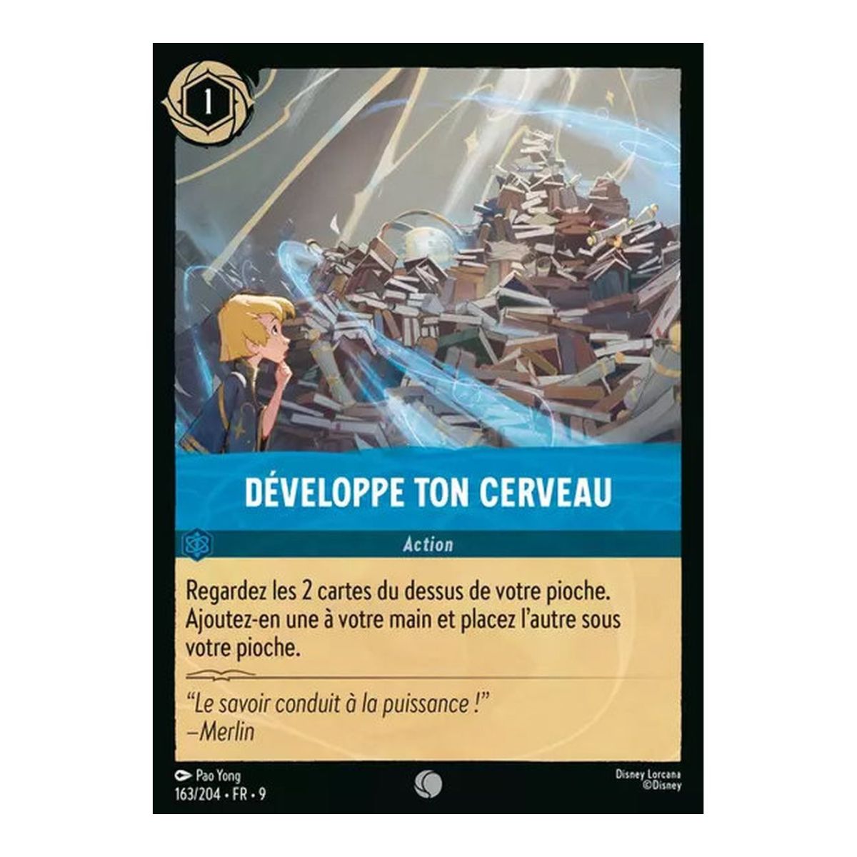 Développe ton Cerveau - 163/204 - FAB - Fabuleux - Brillante - Premium - Français