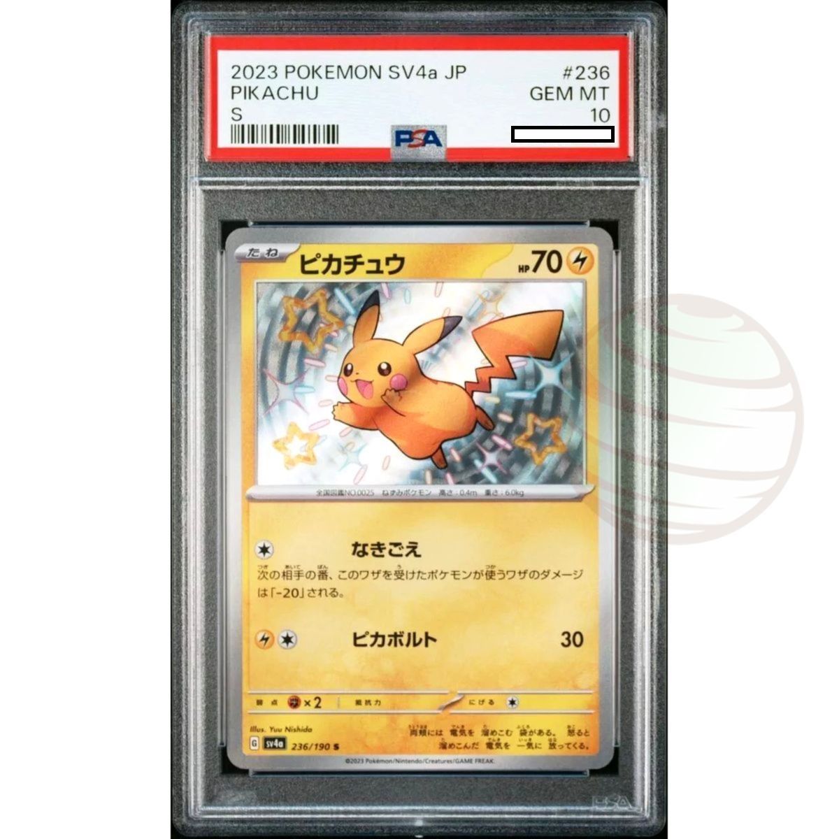 Item [PSA 10 - Gem Mint] - Carte Gradée - Pikachu 236/190 SV4A - 2023 - Pokémon - Japonais