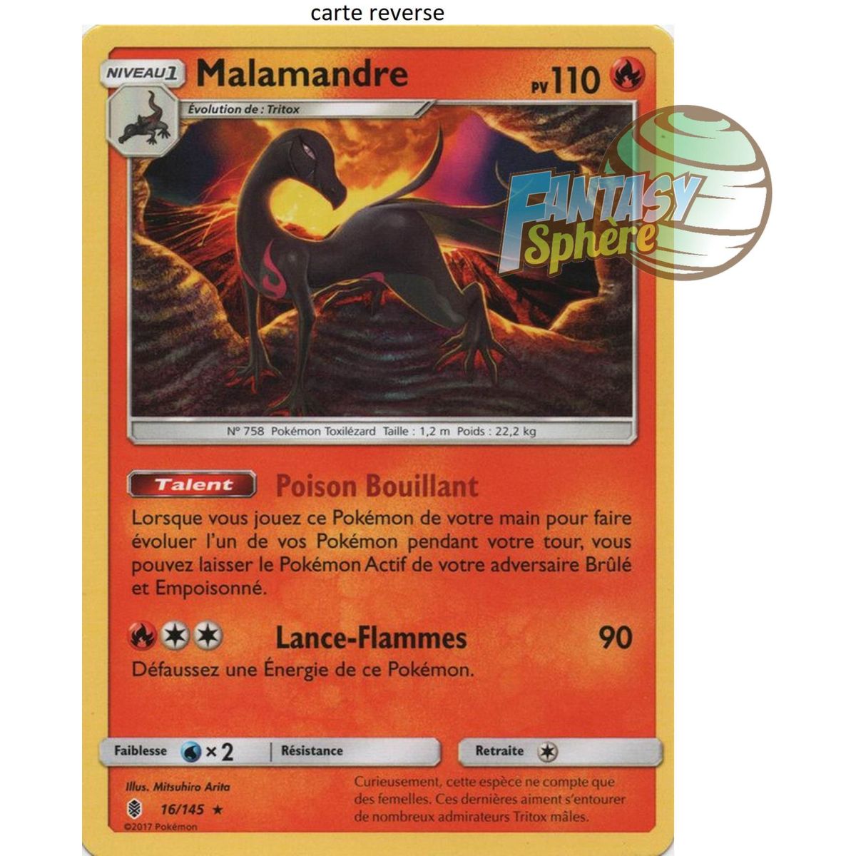 Item Malamandre - Reverse 16/145 - Soleil et Lune 2 Gardiens Ascendants