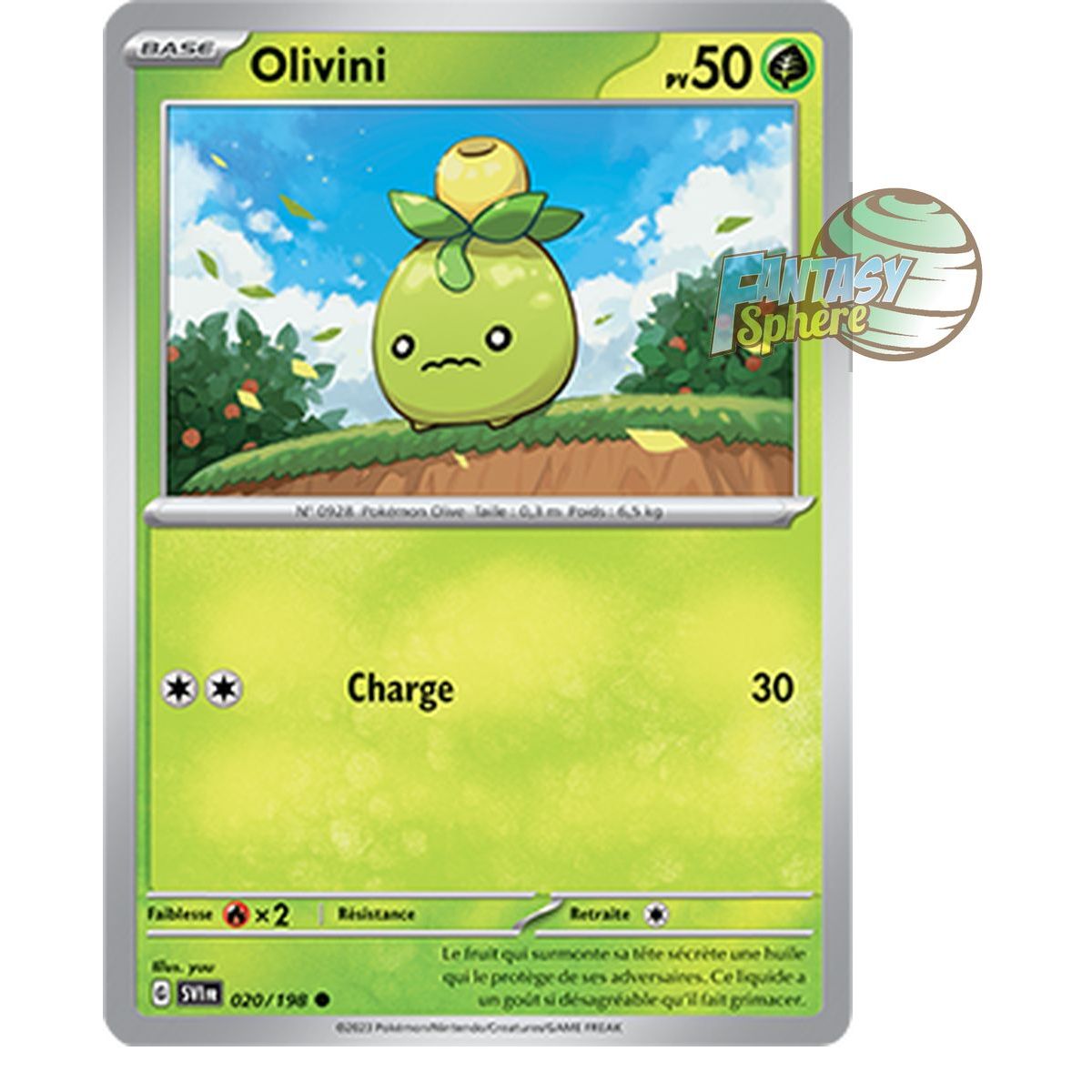 Item Olivini - Commune 20/198 - Ecarlate et Violet