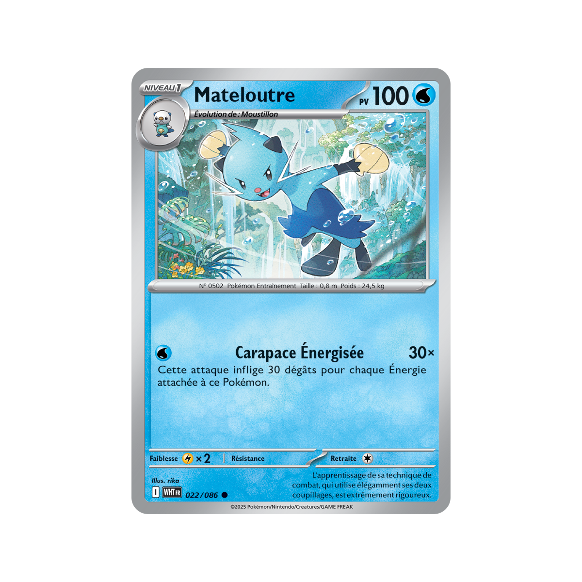 Item Mateloutre - Reverse Pokéball 22/86 - Ecarlate et Violet 10.5 Flamme Blanche