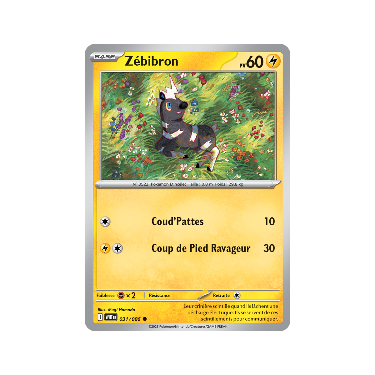 Item Zébibron - Reverse Pokéball 31/86 - Ecarlate et Violet 10.5 Flamme Blanche
