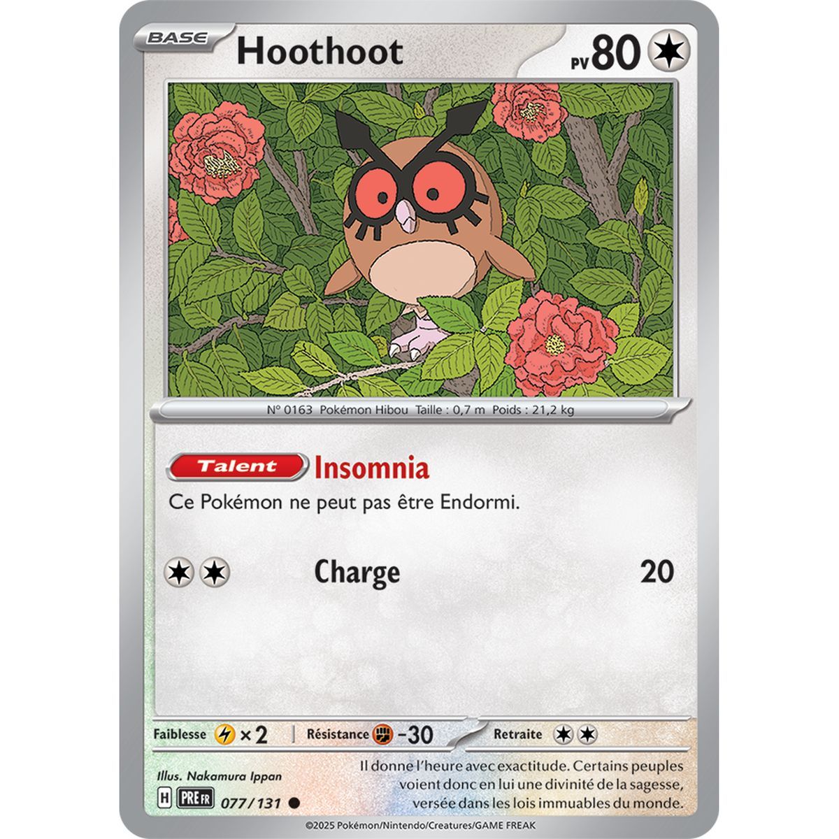Hoothoot - Commune 77/131 - Ecarlate et Violet 8.5 Évolutions Prismatiques