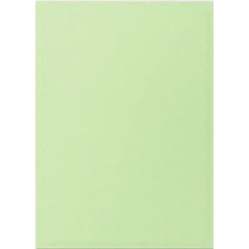 100 Pochettes Standard - Matte Sleeves Gooseberry - Dragon Shield