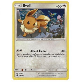 Item Evoli - Holo Rare - SM235