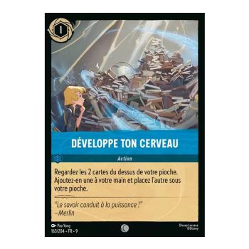 Item Développe ton Cerveau - 163/204 - FAB - Fabuleux - Commune - Français