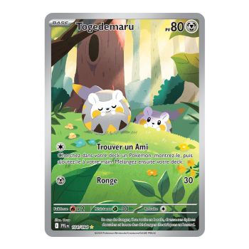 Togedemaru - Illustration Rare 104/94 - Méga-Evolution 2 Flammes Fantasmagoriques
