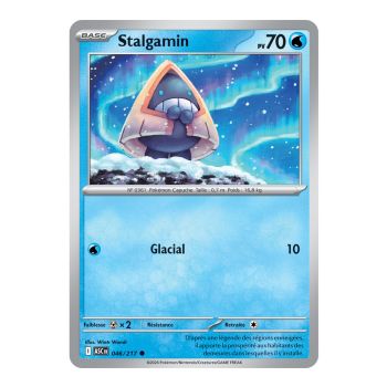 Item Stalgamin - Commune 46/217 - ME02.5 - Pokémon - Méga-Évolution Héros Transcendants
