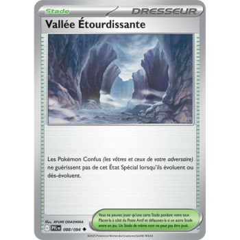Item Vallée Étourdissante - Reverse 88/94 - Méga-Evolution 2 Flammes Fantasmagoriques
